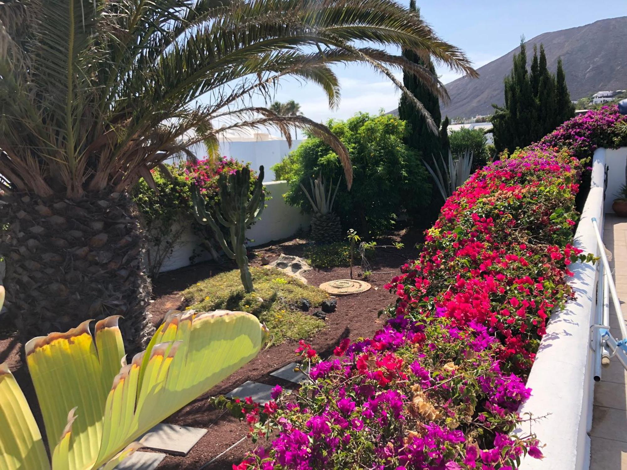 Villa Coco - Play Blanca - Lanzarote プラヤ・ブランカ エクステリア 写真